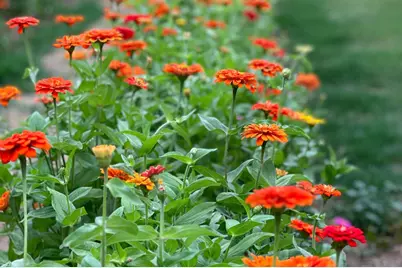 10464 State Highway 70, Marysville, CA 95901 - Photo 24