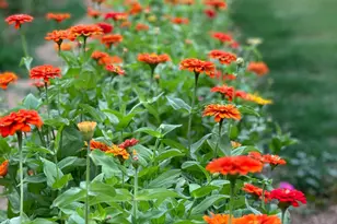 10464 State Hwy 70, Marysville, CA 95901 - Photo 24