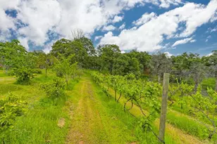 16599 Mackinaw Way, Grass Valley, CA 95949 - Photo 74