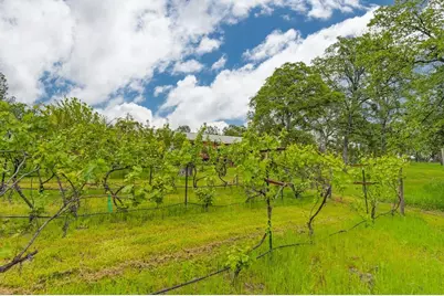 16599 Mackinaw Way, Grass Valley, CA 95949 - Photo 72