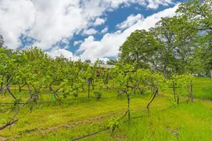 16599 Mackinaw Way, Grass Valley, CA 95949 - Photo 72