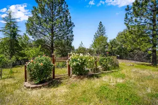 13185 Trent Ct, Jackson, CA 95642 - Photo 50