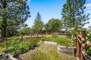 13185 Trent Ct, Jackson, CA 95642 - Photo 38