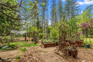 4061 Pacific Crest Ct, Placerville, CA 95667 - Photo 80