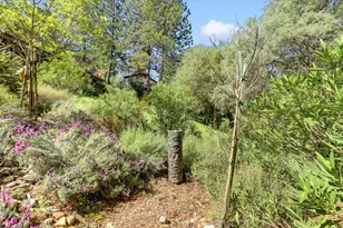 11514 Madrone Ct, Auburn, CA 95602 - Photo 56