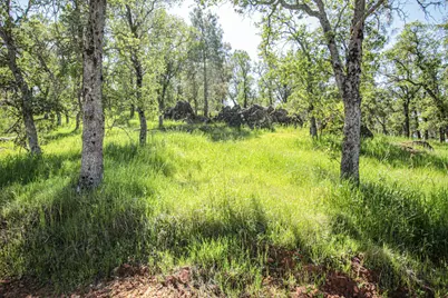 746 Arbolada Drive, Coulterville, CA 95311 - Photo 6