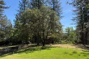 645 Rigby Ln, Applegate, CA 95703 - Photo 46