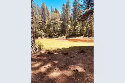 633 Forest Meadows Drive, Murphys, CA 95247 - Photo 2