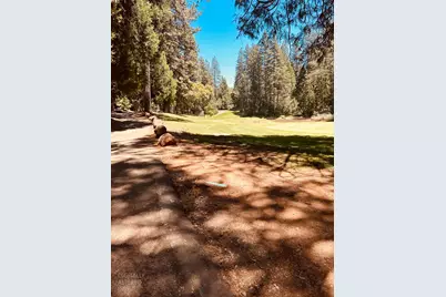 633 Forest Meadows Drive, Murphys, CA 95247 - Photo 2