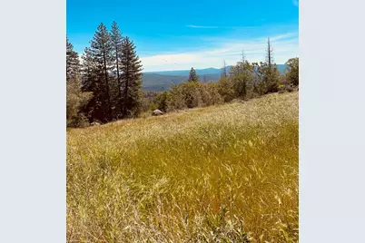 633 Forest Meadows Drive, Murphys, CA 95247 - Photo 8