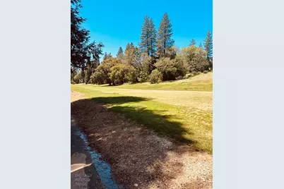 633 Forest Meadows Drive, Murphys, CA 95247 - Photo 4