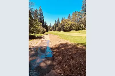 633 Forest Meadows Drive, Murphys, CA 95247 - Photo 6
