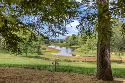 24521 N McIntire Road, Clements, CA 95227 - Photo 26