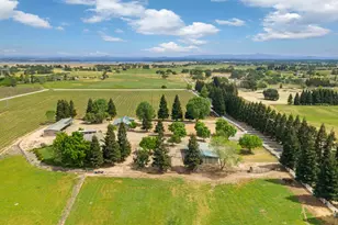 24521 N Mcintire Rd, Clements, CA 95227 - Photo 34