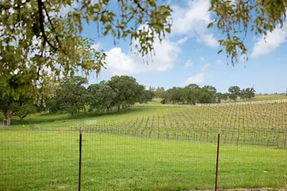 24521 N McIntire Road, Clements, CA 95227 - Photo 52