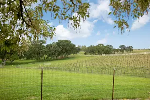 24521 N Mcintire Rd, Clements, CA 95227 - Photo 52