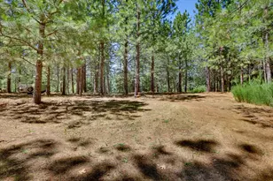 11456 Mirror Lake Ct, Grass Valley, CA 95945 - Photo 86