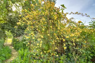 1076 Sand Bar Cir, Carmichael, CA 95608 - Photo 62