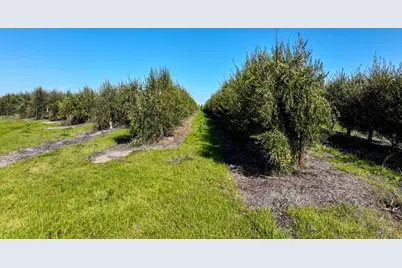 32358 County Road 19, Woodland, CA 95695 - Photo 12