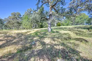 4220 Miller Oak Dr, Auburn, CA 95602 - Photo 70
