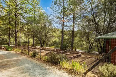 8681 State Highway 193, Placerville, CA 95667 - Photo 4