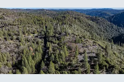 17640 Shake Ridge Road, Sutter Creek, CA 95685 - Photo 60