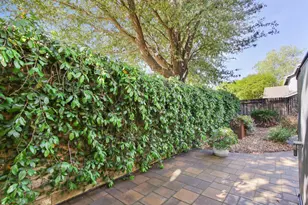 1303 Caceres Ct, Davis, CA 95618 - Photo 58