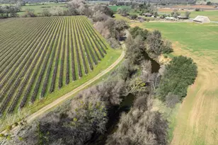 3270 Jackson Valley Rd, Ione, CA 95640 - Photo 24