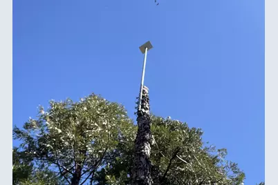 142 Beatrice Drive, Arnold, CA 95223 - Photo 54