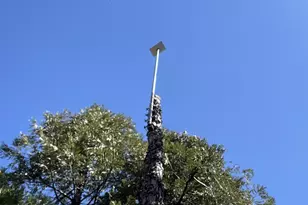 142 Beatrice Dr, Arnold, CA 95223 - Photo 54