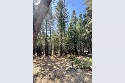 142 Beatrice Drive, Arnold, CA 95223 - Photo 44