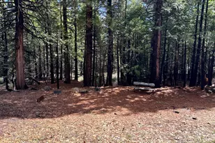142 Beatrice Dr, Arnold, CA 95223 - Photo 14