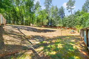 16429 Glenbrae Ln, Meadow Vista, CA 95722 - Photo 64