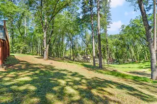 16429 Glenbrae Ln, Meadow Vista, CA 95722 - Photo 84