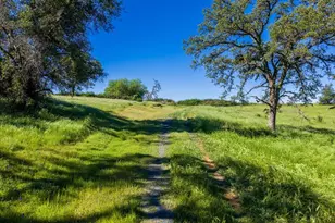 23070 Payam Pl, Grass Valley, CA 95949 - Photo 10