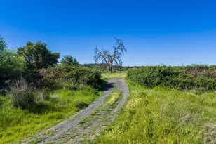 23070 Payam Pl, Grass Valley, CA 95949 - Photo 24