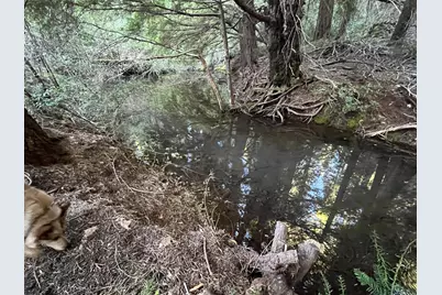 18035 Mobley Springs Road, Nevada City, CA 95959 - Photo 24