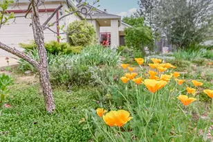 166 Placer Dr, Jackson, CA 95642 - Photo 68
