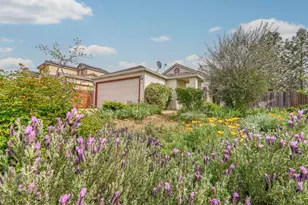 166 Placer Dr, Jackson, CA 95642 - Photo 60