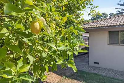 7394 Farm Dale Way, Sacramento, CA 95831 - Photo 52