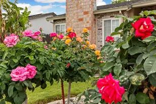 929 Kapareil Dr, Tracy, CA 95376 - Photo 6