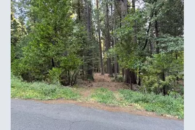 6235 Terrace Drive, Pollock Pines, CA 95726 - Photo 14