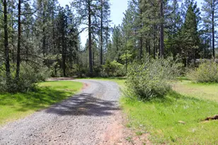 8767 E La Porte Rd, Brownsville, CA 95919 - Photo 68