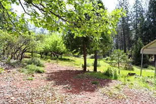 8767 E La Porte Rd, Brownsville, CA 95919 - Photo 16