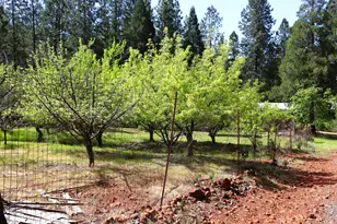 8767 E La Porte Rd, Brownsville, CA 95919 - Photo 20