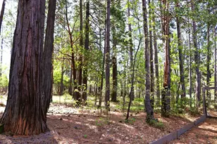 8767 E La Porte Rd, Brownsville, CA 95919 - Photo 34