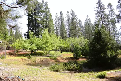 8767 E La Porte Road, Brownsville, CA 95919 - Photo 30