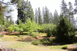 8767 E La Porte Rd, Brownsville, CA 95919 - Photo 30