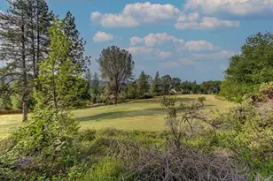 3112 Serano Ct, Camino, CA 95709 - Photo 28