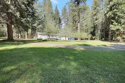 138 Big Fir Road, Forbestown, CA 95941 - Photo 44